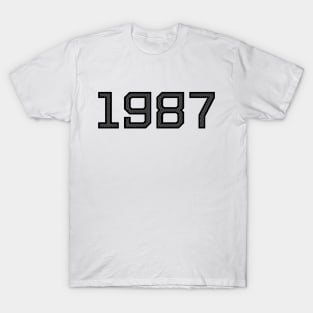 Cool Birthday Shirt 1987 Birth Year Gift T-Shirt